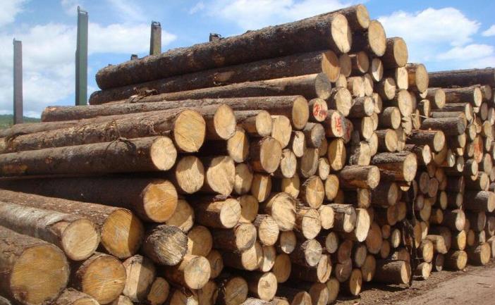 专注长效防霉抗菌 惠州铭铠科技的研发创新与精准应用之道